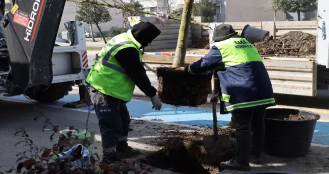 Sakarya’da yeşil’ dokunuşla şehrin çehresini değiştiriyor