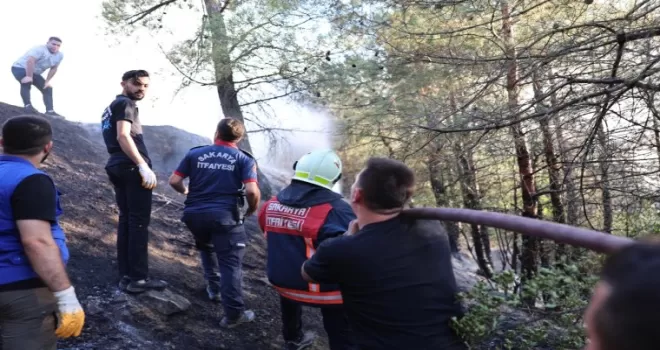 Sakarya’daki orman yangını kontrol altında: 3 gözaltı!