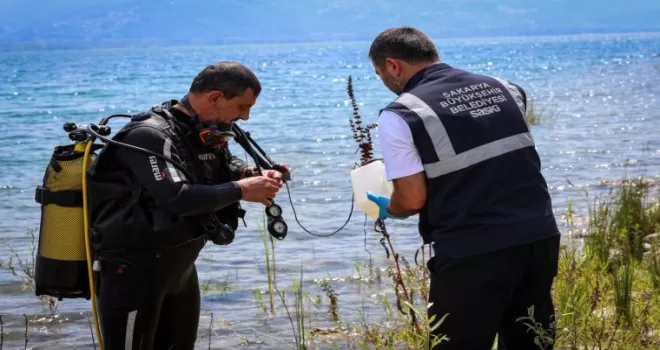 Sapanca’daki alg oluşumu mevsimsel