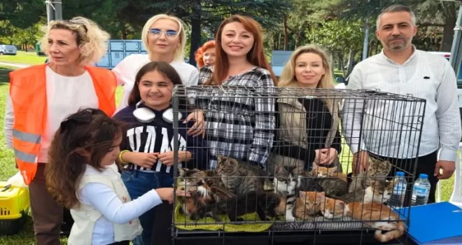 “Satın Alma, Sahiplen” etkinliğinde can dostlara yeni yuvalar