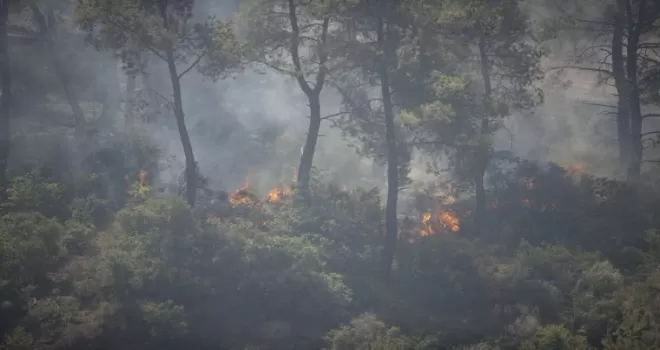 Seferihisar ve Menderes yangınlarının bilançosu ağır