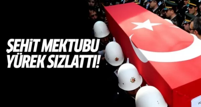Şırnak'ta şehit olan Mehmet Güngördü'nün cüzdanından çıkan mektup ağlattı!