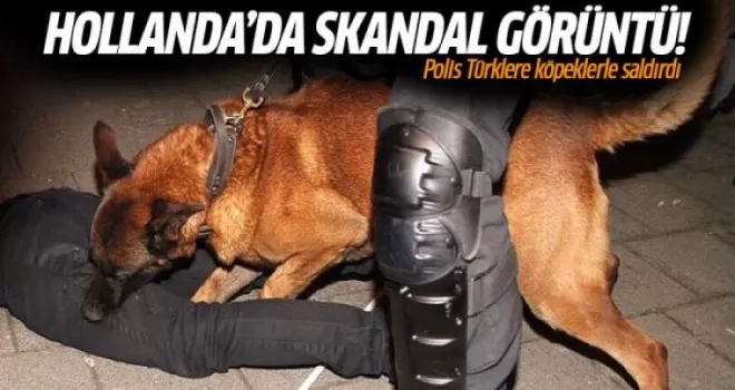 Skandal! Hollanda'da Türklere köpekli saldırı