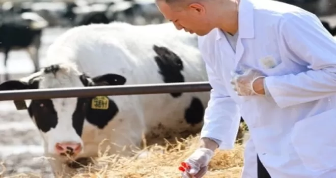 Tarımda maliyetler hız kesmiyor... Veteriner harcamaları zirvede