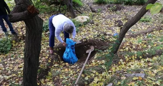 TBMM en çok Afrikalılar ile 'dost' oldu
