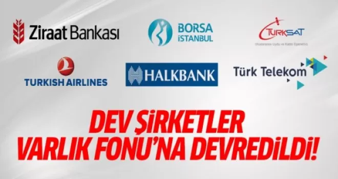 THY ve Halkbank'taki kamu payları da Varlık Fonu'na devredildi