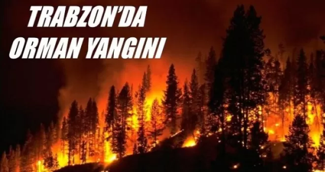 Trabzon Sürmene'de çok büyük yangın