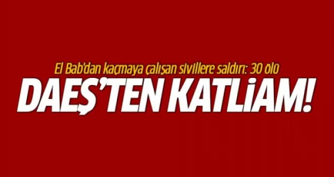 TSK: DAEŞ 30 sivili katletti