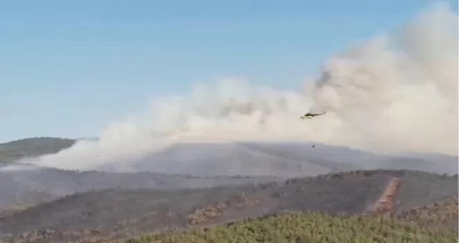 Türkiye’de orman yangınlarında 17 şüpheli gözaltında