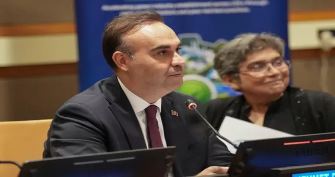 Türkiye’den en az gelişmiş ülkeler için yeşil sanayileşme hamlesi
