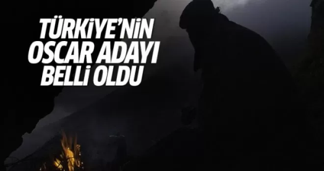 Türkiye'nin Oscar adayı belli oldu