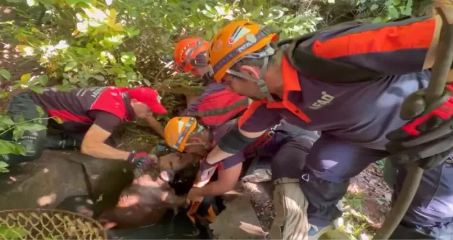 Yalova’da eski su kuyusuna düşen köpeği AFAD kurtardı