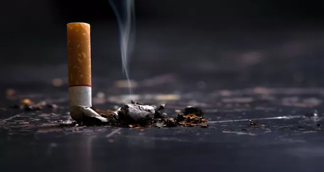 Yol kenarına atılan izmaritler yangına davetiye çıkarıyor