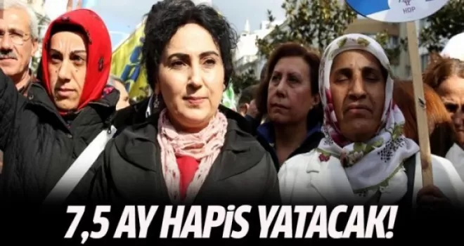 Yüksekdağ'ın hapis cezasına onama